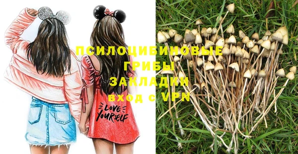 таблы Верея